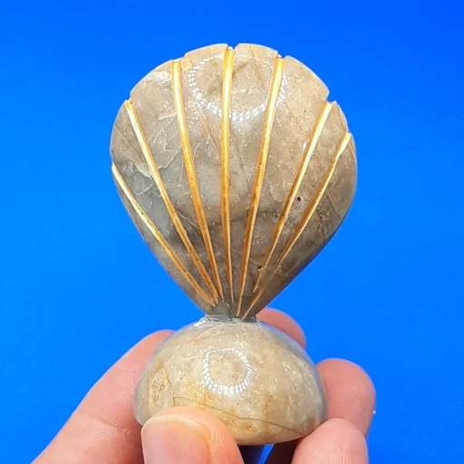 دکوری صدف سنگ مرمر اعلا و زیبا